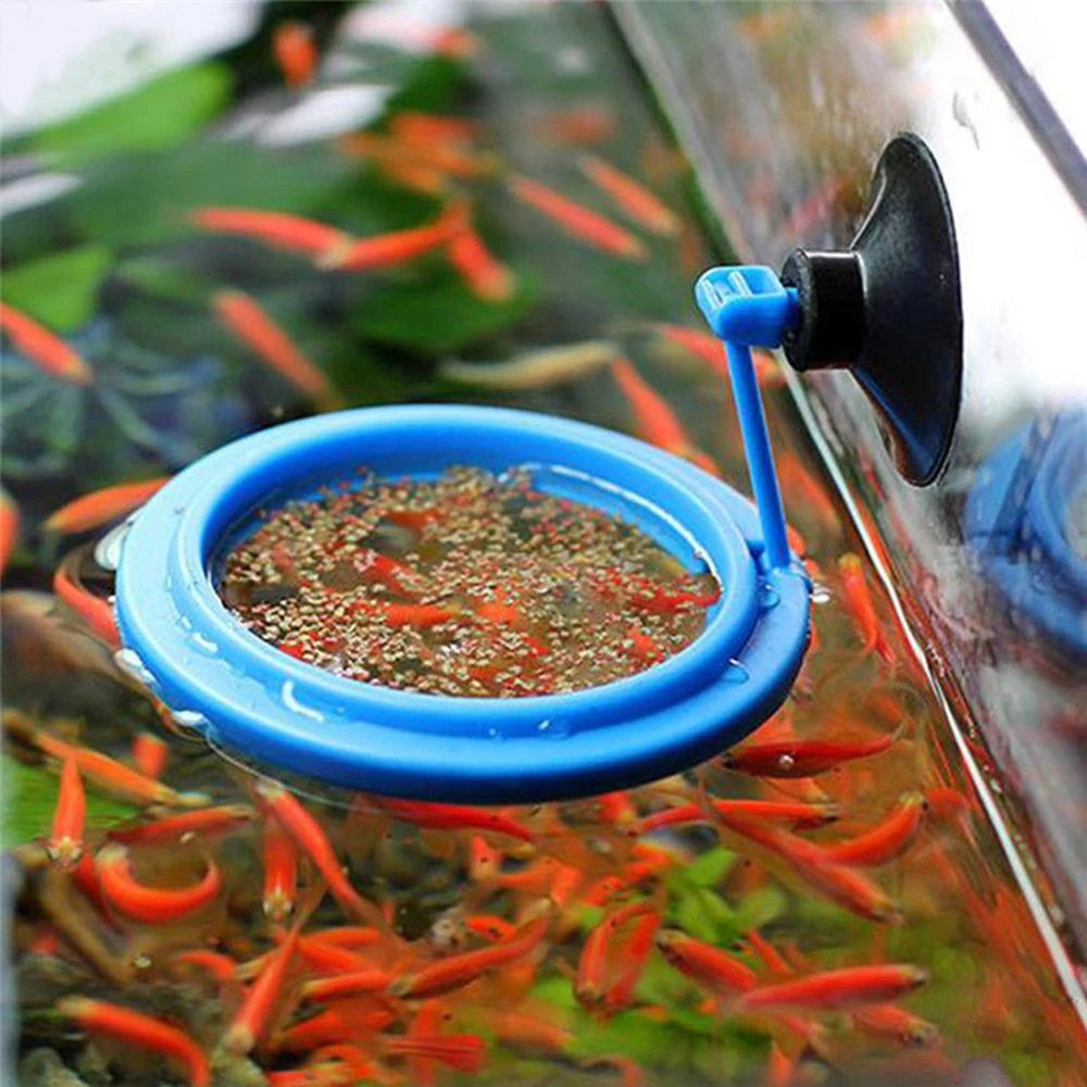 جديد حوض السمك تغذية حلقة محطة - مراجعة Aquarium Plant Nutrients وسعره