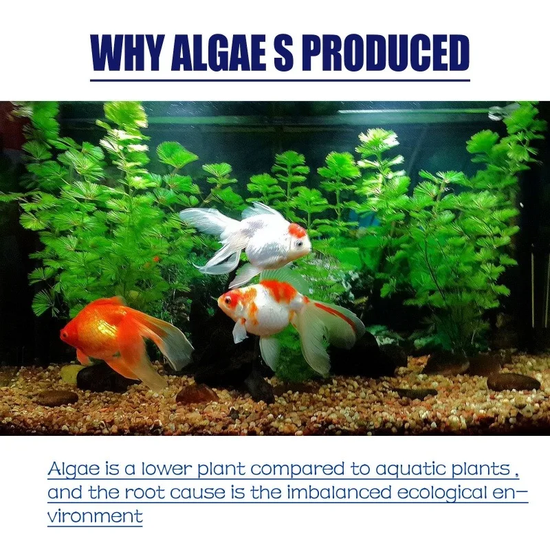 50 جرام من مبيد الطحالب عالي ا - مراجعة Planted Aquarium Supplies وسعره