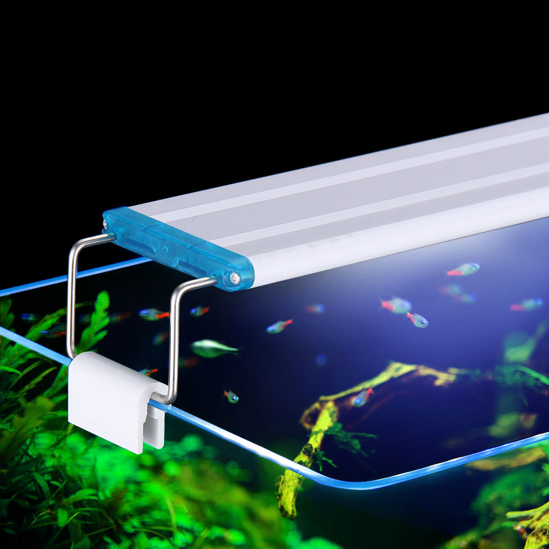 مشبك مقاوم للماء قابل للتمديد  - مراجعة Aquarium Plant Iron وسعره