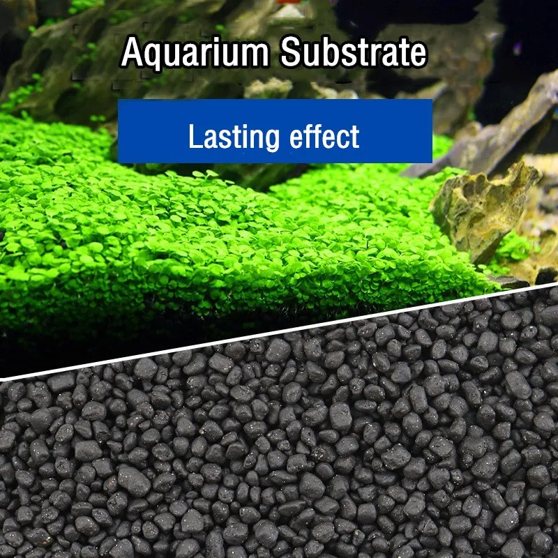 500 جرام خزان الأسماك نبات الم - مراجعة Aquarium Plant Nutrients وسعره