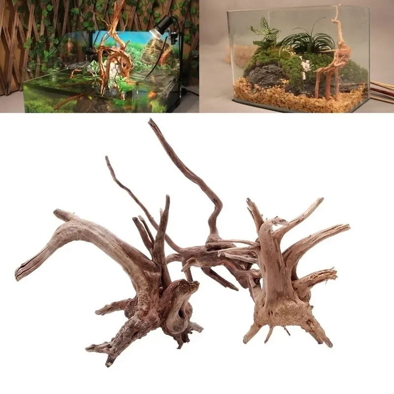 شجرة طبيعية جذع Driftwood لحوض - مراجعة Planted Aquarium Media وسعره
