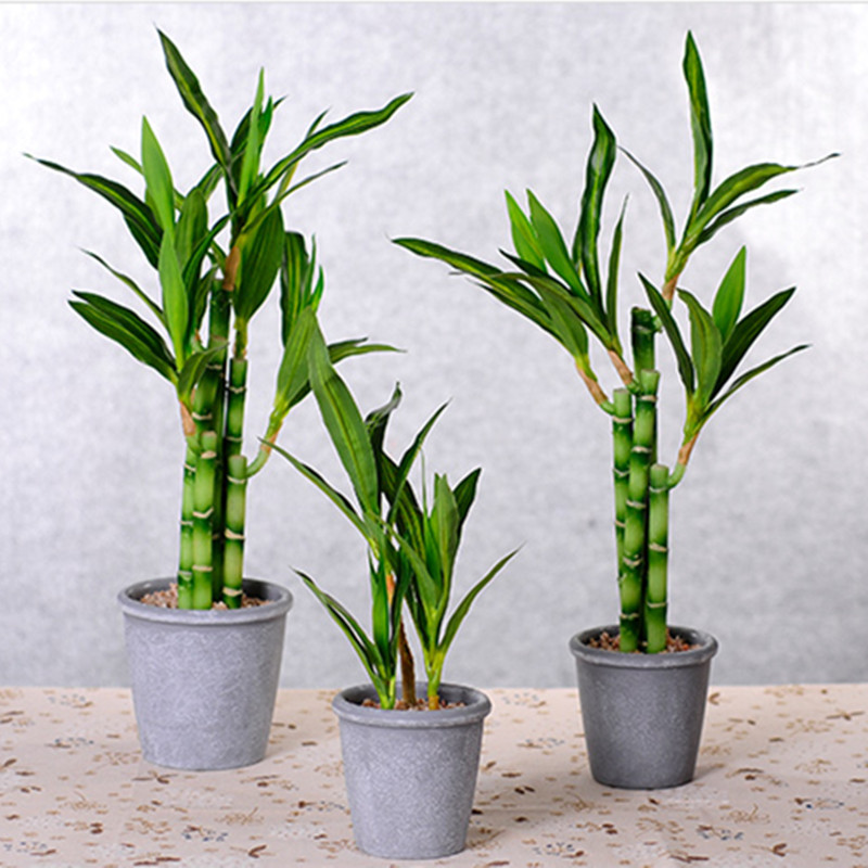 نبات البامبو الصناعي الجديد بط - مراجعة Aquarium Plant In Pot وسعره