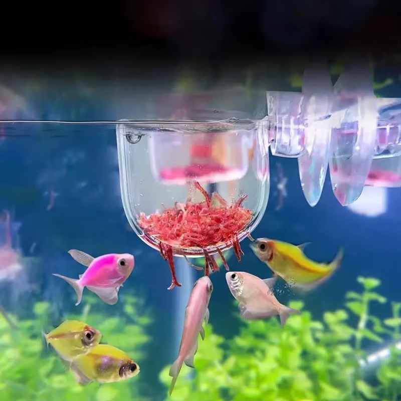 مصنع حوض السمك الديكور معلقة خ - مراجعة Aquarium Plant Factory وسعره