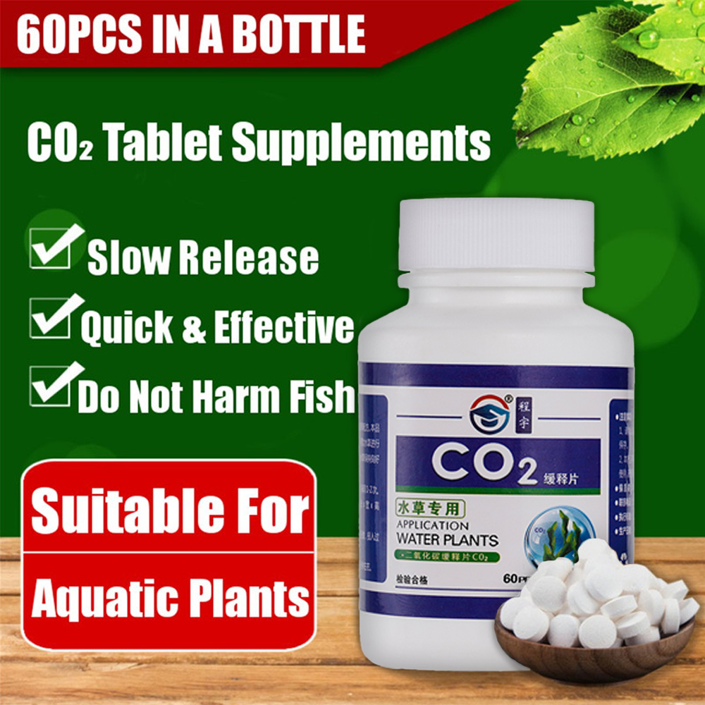 60 قطعة حوض السمك CO2 اللوحي م - مراجعة Aquarium Plant Nutrients وسعره