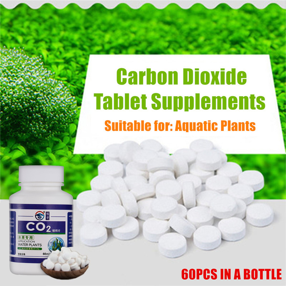60 قطعة حوض السمك CO2 اللوحي م - مراجعة Aquarium Plant Nutrients وسعره
