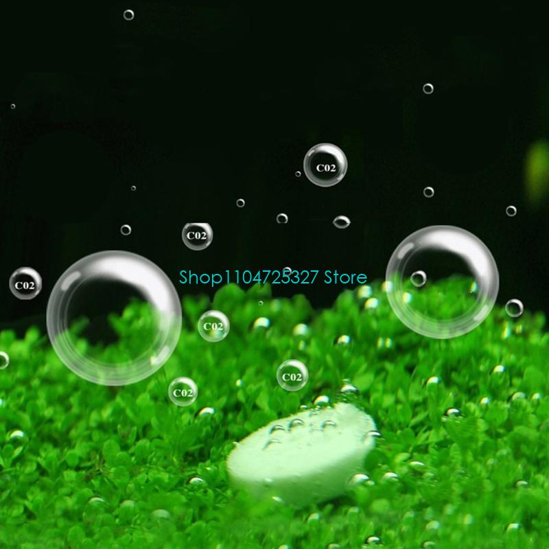 أقراص Co2 نباتات حوض السمك 10  - مراجعة Aquarium Plant Nutrients وسعره