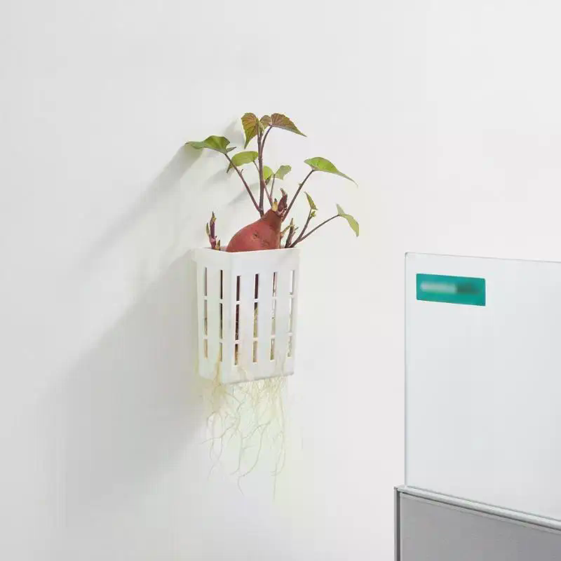 1 قطعة سلة دعم للزراعة المائية - مراجعة Aquarium Plant In Pot وسعره