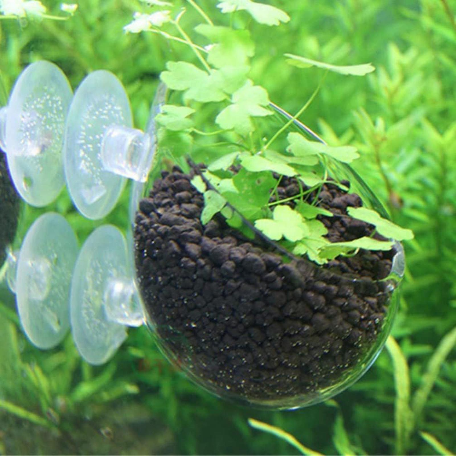 حامل نباتات الزينة الزجاجي مع  - مراجعة Planted Aquarium Media وسعره