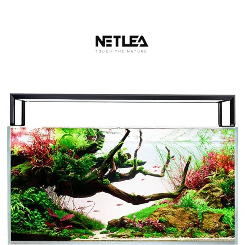 نيتليا AT5S V4 إضاءة حوض السمك - مراجعة Aquarium Plant Display وسعره
