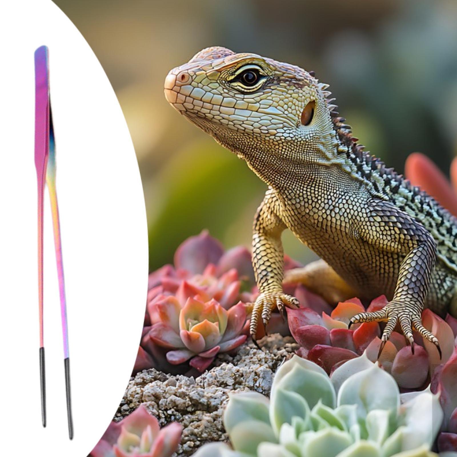 ملقط تغذية الزواحف ذو طرف ناعم - مراجعة Planted Aquarium Tips وسعره
