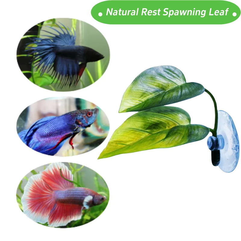 مستلزمات حوض السمك، زينة، نبات - مراجعة Planted Aquarium Supplies وسعره