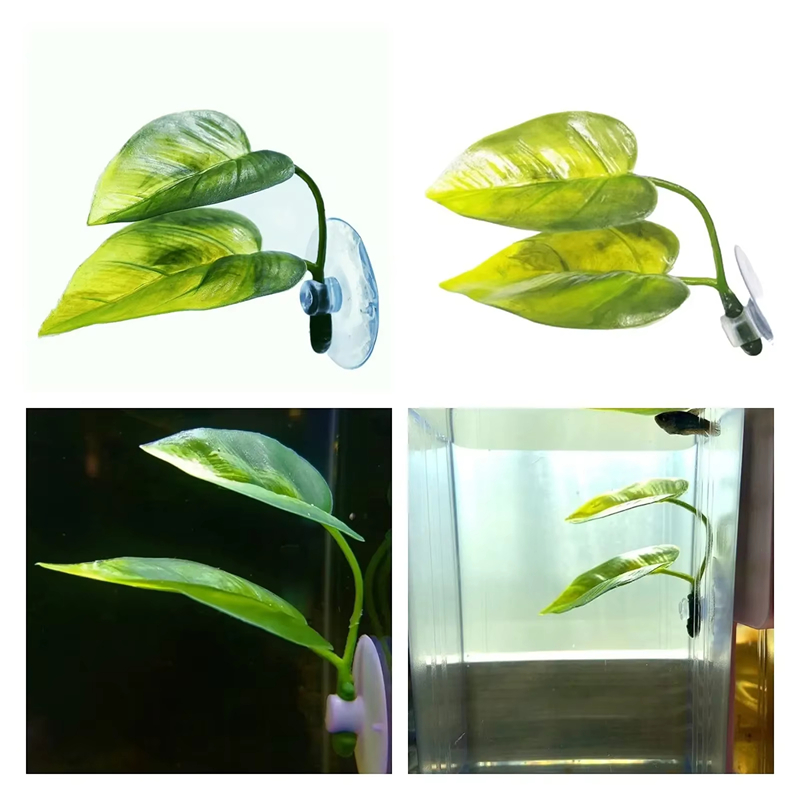 مستلزمات حوض السمك، زينة، نبات - مراجعة Planted Aquarium Supplies وسعره