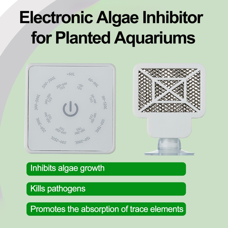 أداة تنظيف حوض السمك الإلكترون - مراجعة Planted Aquarium Cleaning وسعره