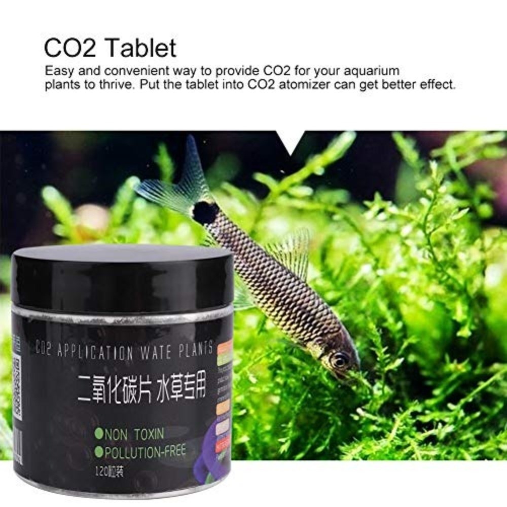 120 قرصًا من أقراص ثاني أكسيد  - مراجعة Aquarium Plant Nutrients وسعره