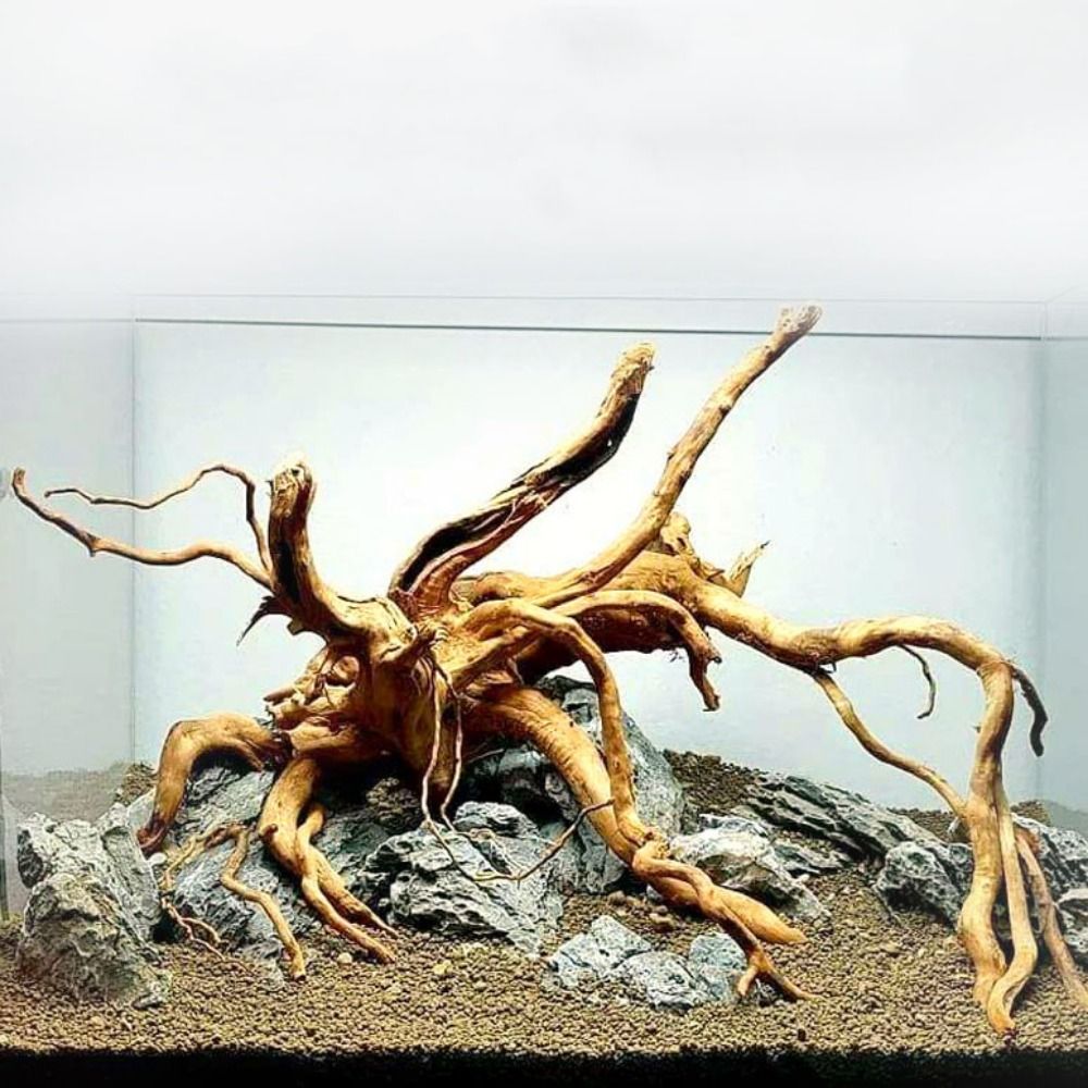 شجرة طبيعية جذع حوض السمك الدي - مراجعة Planted Aquarium Media وسعره