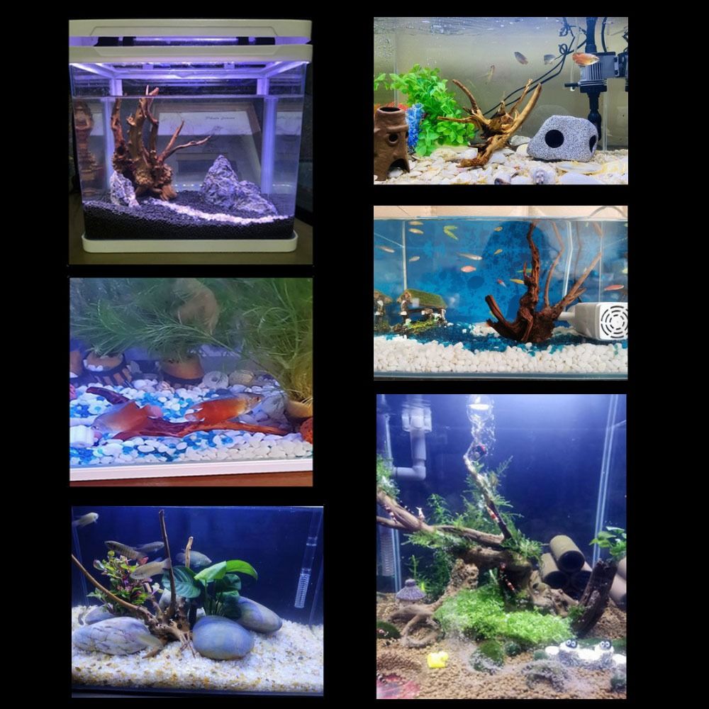 شجرة طبيعية جذع حوض السمك الدي - مراجعة Planted Aquarium Media وسعره