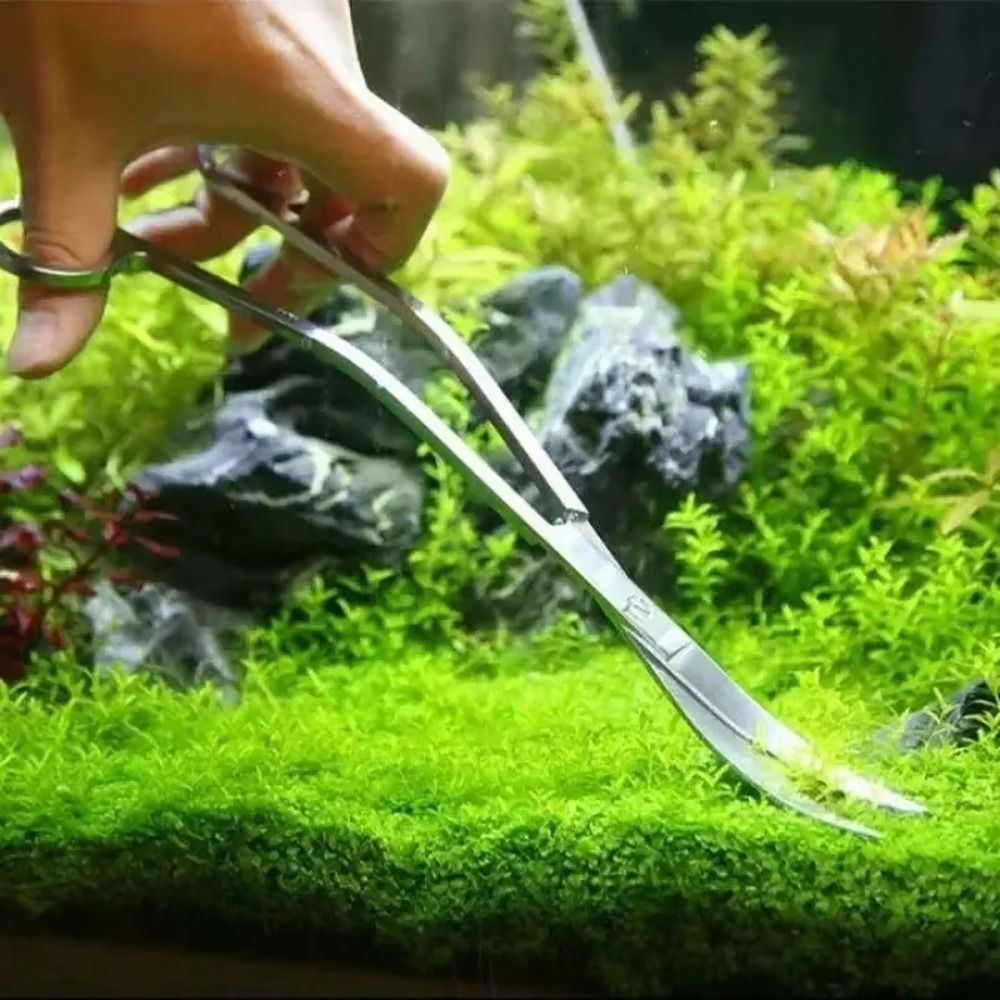 مقص حوض السمك من الفولاذ المقا - مراجعة Planted Aquarium Cleaning وسعره