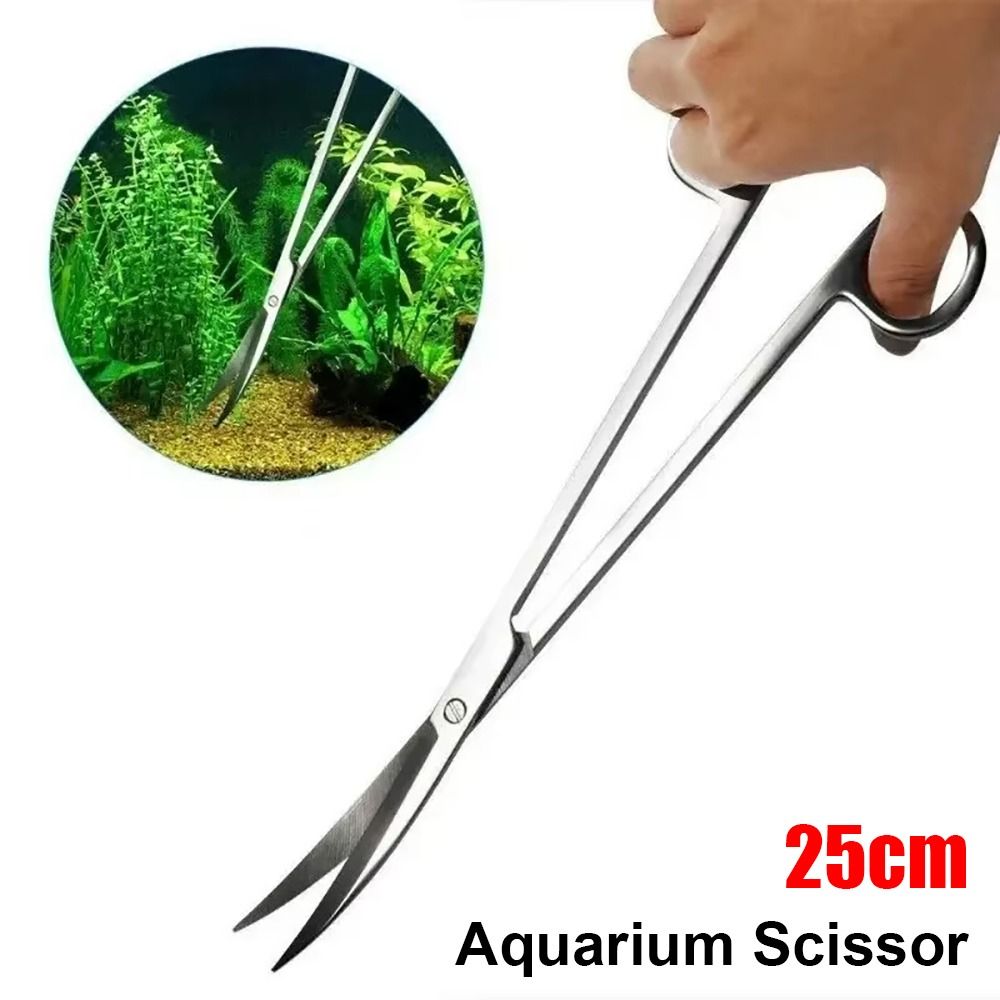 مقص حوض السمك من الفولاذ المقا - مراجعة Planted Aquarium Cleaning وسعره