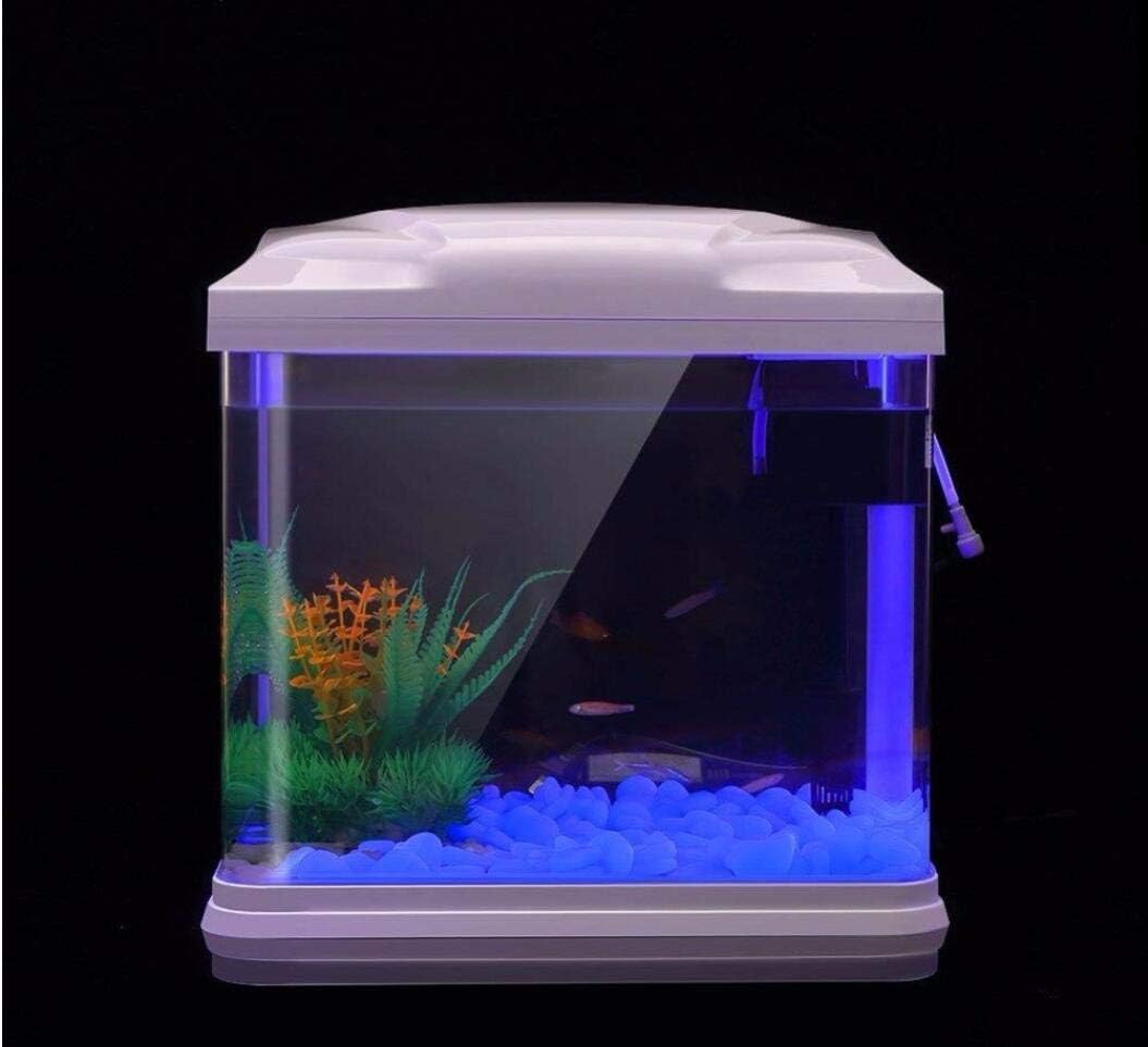 حوض السمك الصخور توهج الحصى ال - مراجعة Planted Aquarium Supplies وسعره
