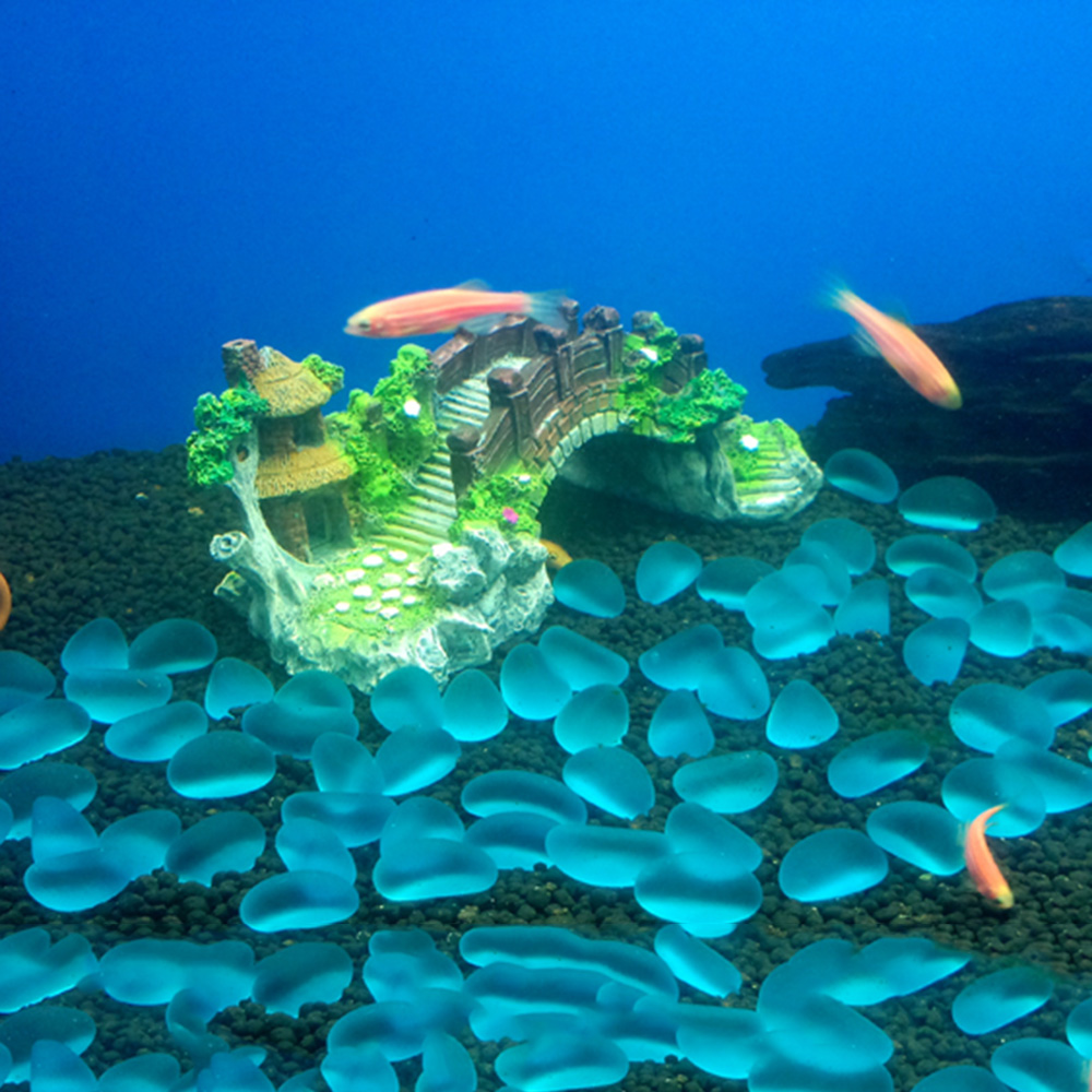 اكسسوارات حوض السمك نبات شجرة  - مراجعة Planted Aquarium Media وسعره