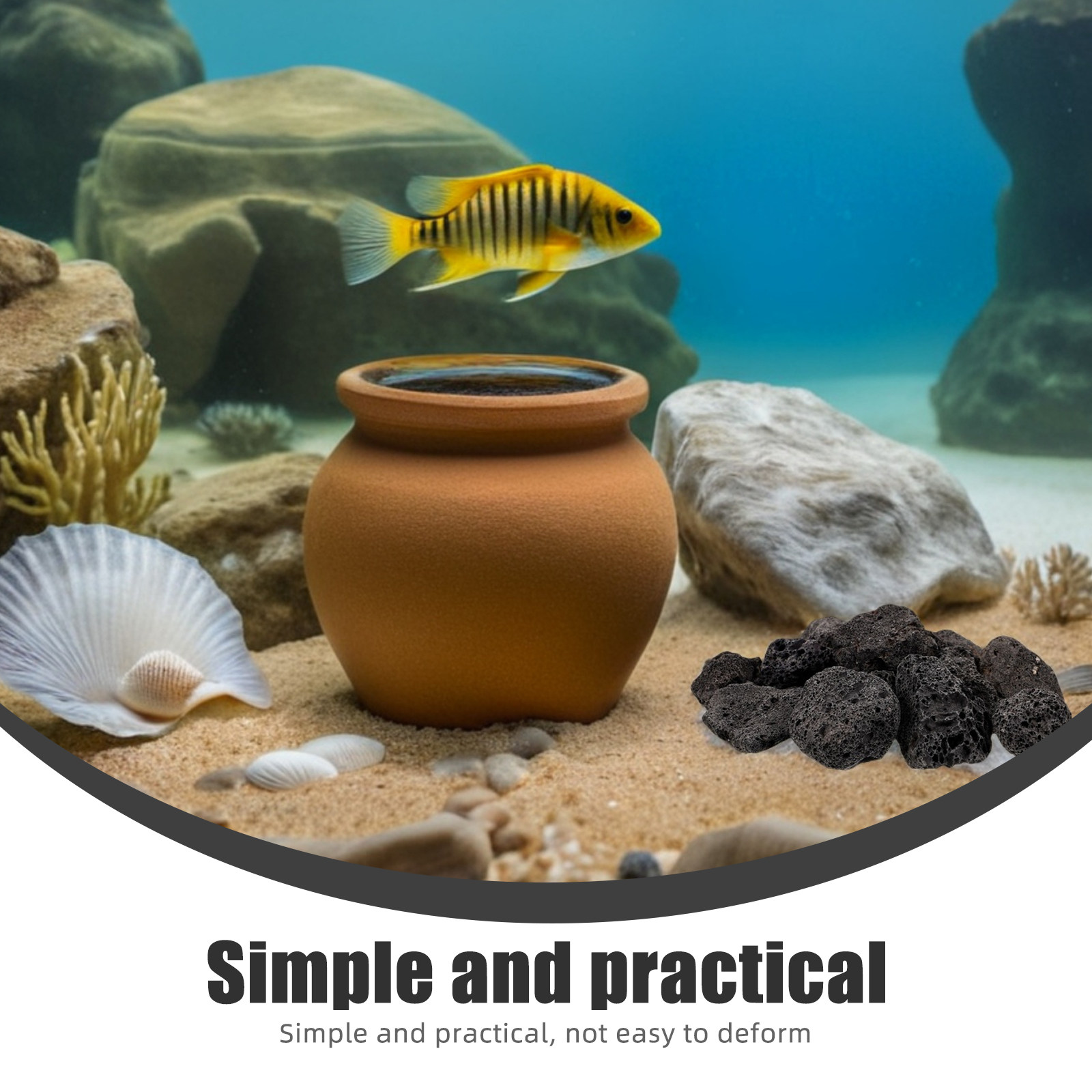 حزمة واحدة من أحجار الحمم البر - مراجعة Aquarium Plant In Pot وسعره