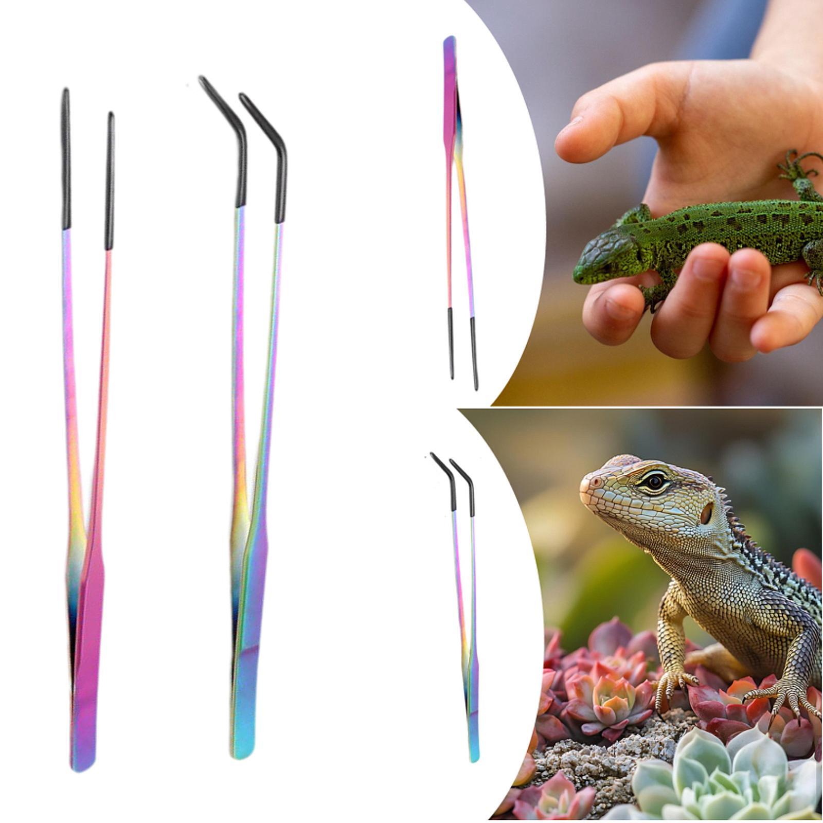 ملقط تغذية الزواحف بطرف سيليكو - مراجعة Planted Aquarium Tips وسعره