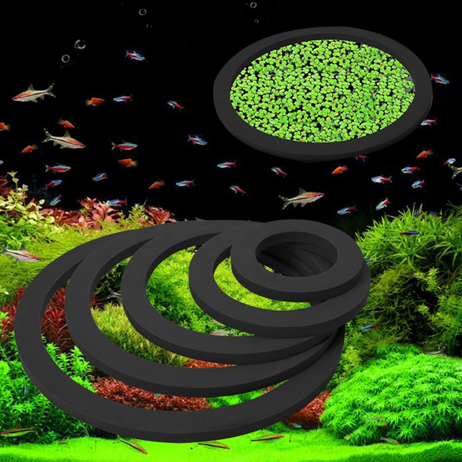 حلقة عائمة للنباتات في أحواض ا - مراجعة Aquarium Plant Nutrients وسعره