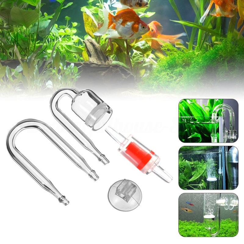 ناشر CO2 لحوض السمك ، خزان زجا - مراجعة Planted Aquarium Media وسعره