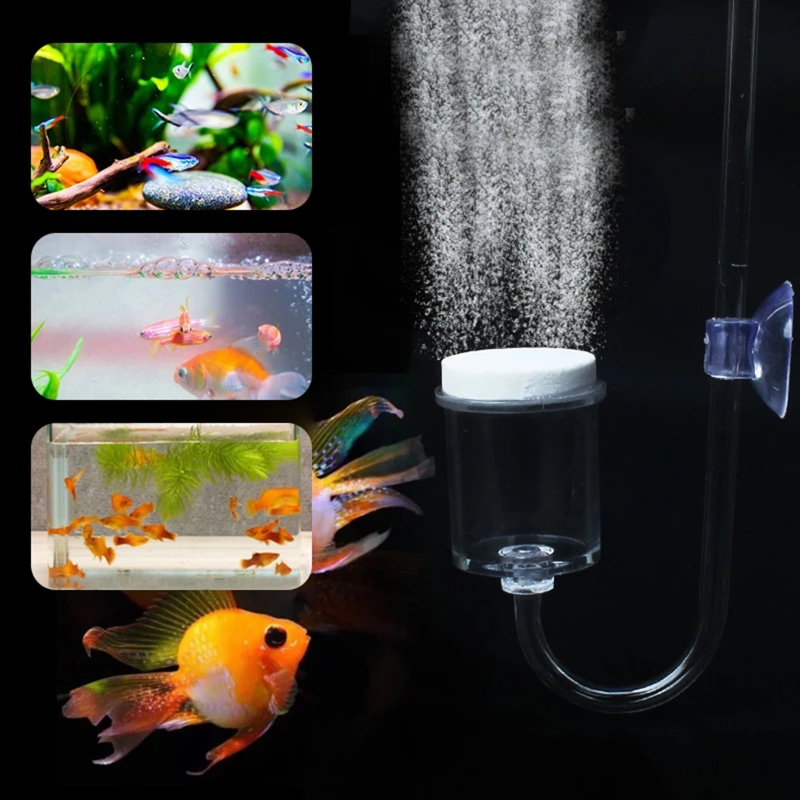 ناشر CO2 لحوض السمك ، خزان زجا - مراجعة Planted Aquarium Media وسعره