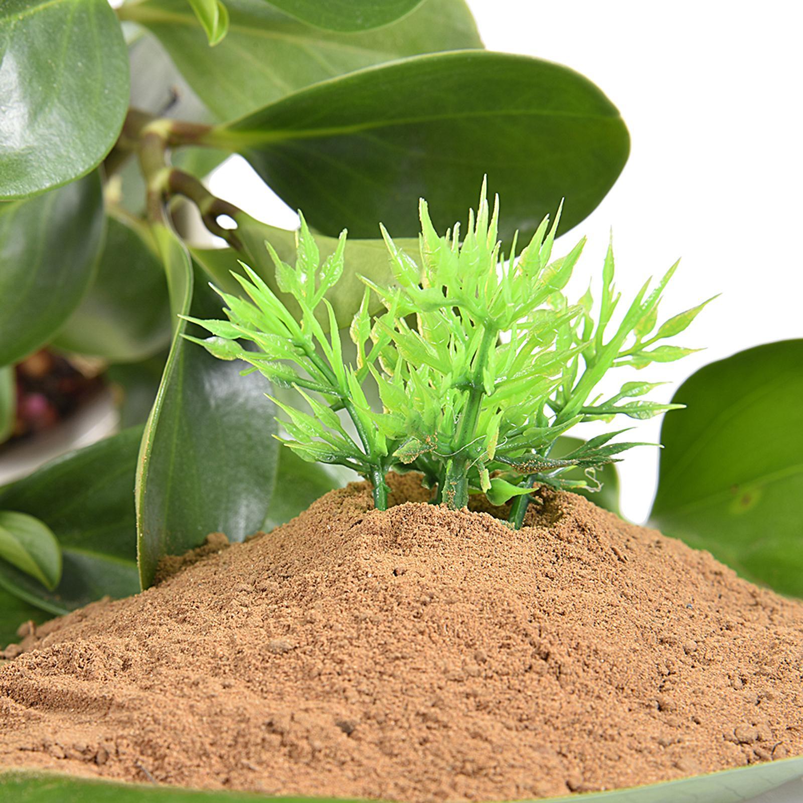 تربة طينية مغذية للبرك المائية - مراجعة Aquarium Plant Nutrients وسعره