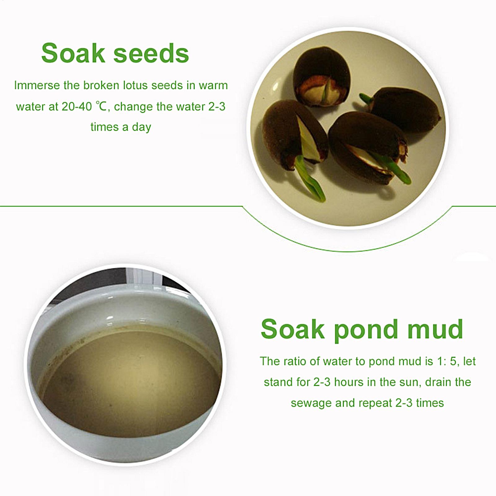 تربة طينية مغذية للبرك المائية - مراجعة Aquarium Plant Nutrients وسعره